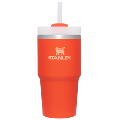 The Quencher H2.0 FlowState? Tumbler | 20 OZ - Stanley Create