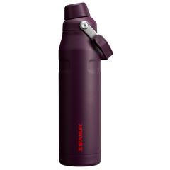 IceFlow? Bottle with Fast Flow Lid | 36 OZ