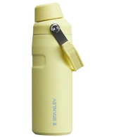 IceFlow? Bottle with Fast Flow Lid | 16 OZ