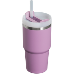 The Quencher H2.0 FlowState? Tumbler | 20 OZ - Stanley Create