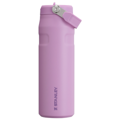 The IceFlow? Bottle with Flip Straw Lid | 24 OZ