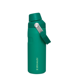 IceFlow? Bottle with Fast Flow Lid | 16 OZ