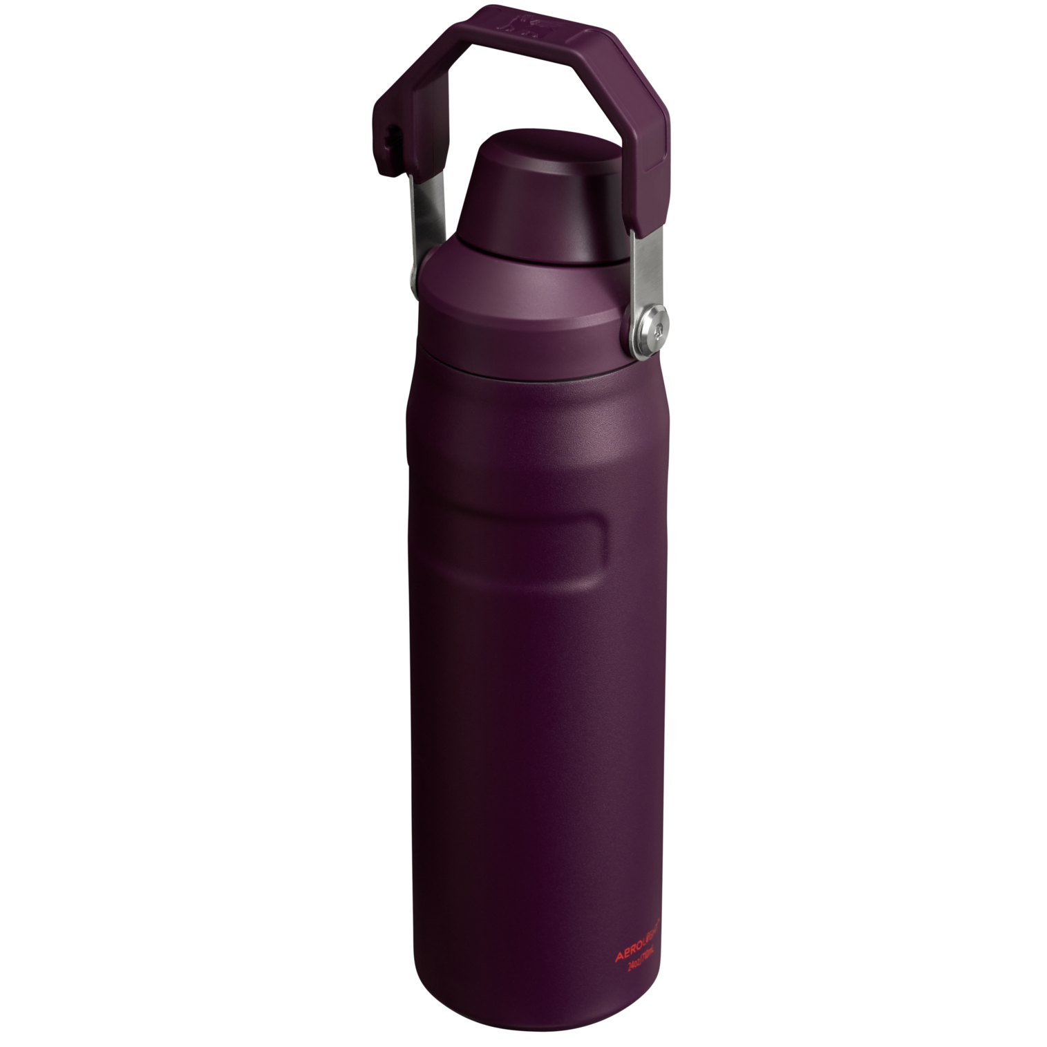IceFlow? Bottle with Fast Flow Lid | 24 OZ