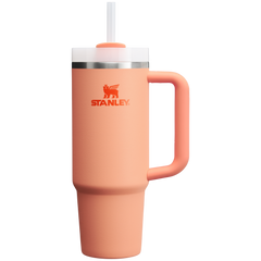 The Quencher H2.0 Flowstate? Tumbler | 30 OZ
