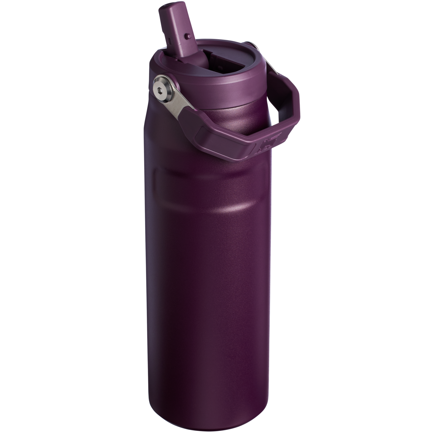 The IceFlow? Bottle with Flip Straw Lid | 24 OZ