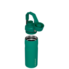 IceFlow? Bottle with Fast Flow Lid | 16 OZ